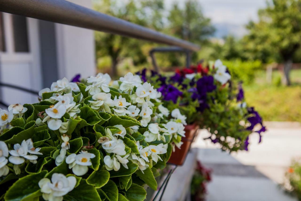 Apartments Heaven Cetinje Exterior photo